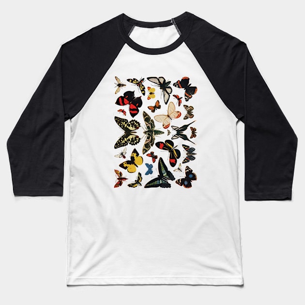 multiple colorful butterfly Baseball T-Shirt by Conqcreate Design